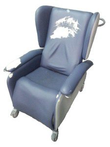 About Us Princess Chair Before Re-upholstery & Repairs